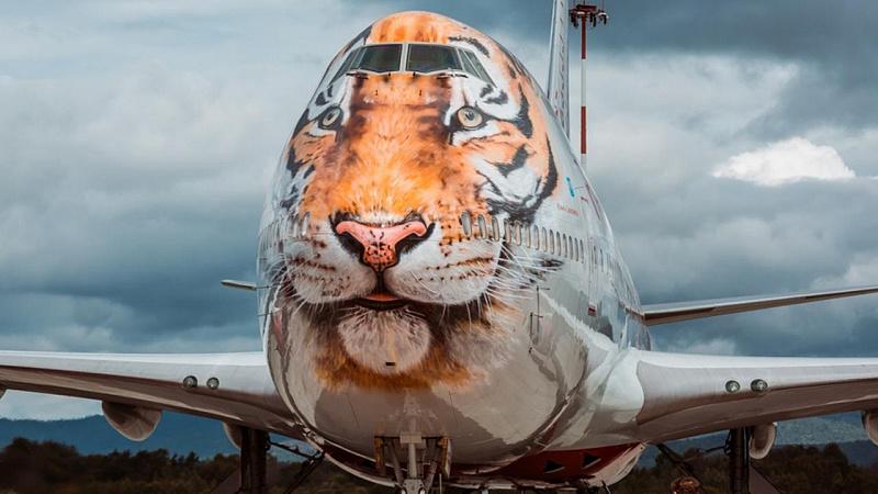 Boeing 747 (EI-XLD) в специальной тигриной ливрее.